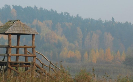 27_Apzvelgti_rudeni (1).jpg